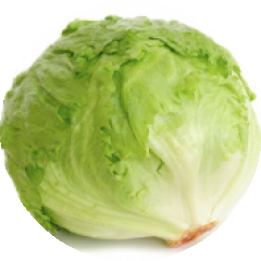 BioLink profile picture for @lettuce