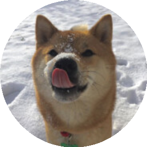 BioLink profile picture for @like