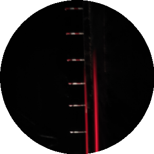 BioLink profile picture for @labib