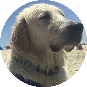 BioLink profile picture for @lake