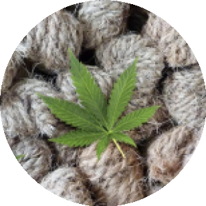 BioLink profile picture for @hemp