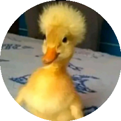 BioLink profile picture for @serene