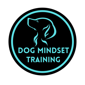 dog.mindset_training