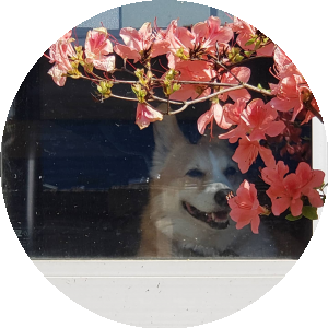BioLink profile picture for @have