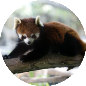 BioLink profile picture for @links