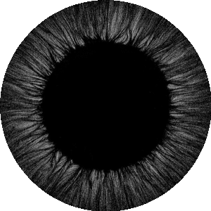 BioLink profile picture for @rokas