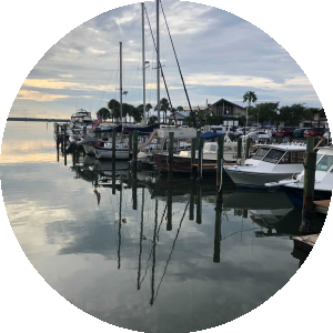 BioLink profile picture for @tampa