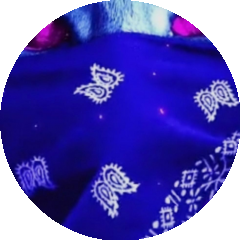BioLink profile picture for @selimcan