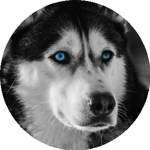 BioLink profile picture for @mare
