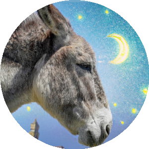 BioLink profile picture for @lekkas