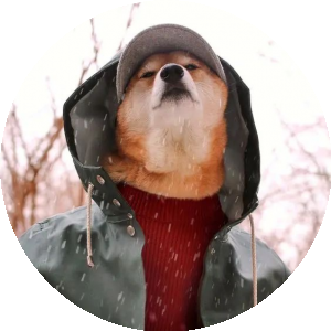 BioLink profile picture for @whitewolf