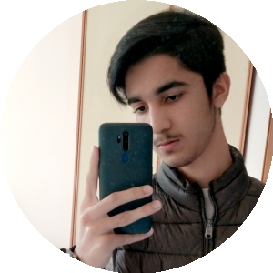 BioLink profile picture for @safiullah