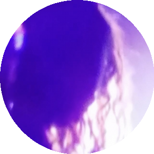 BioLink profile picture for @fur