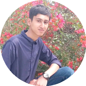 BioLink profile picture for @loknath
