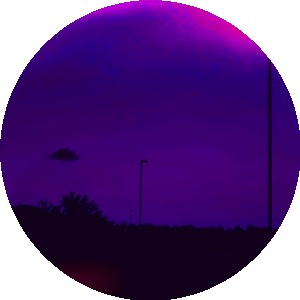 BioLink profile picture for @records
