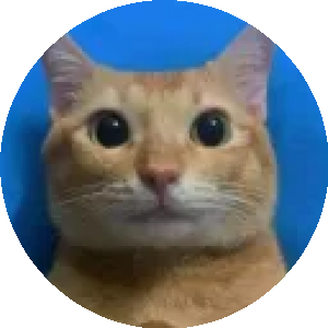 BioLink profile picture for @laptop