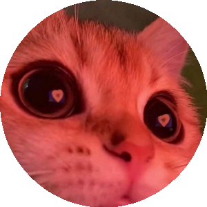 BioLink profile picture for @typical
