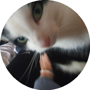 BioLink profile picture for @chihuahua
