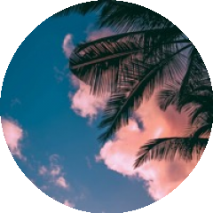 BioLink profile picture for @volts