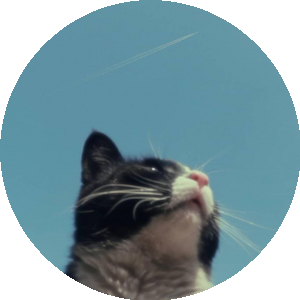 BioLink profile picture for @tail