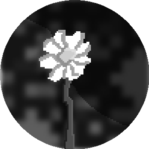 BioLink profile picture for @mill