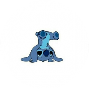 BioLink profile picture for @husk