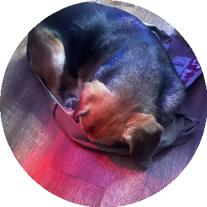 BioLink profile picture for @hoover