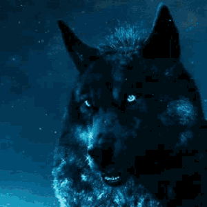 BioLink profile picture for @lenox