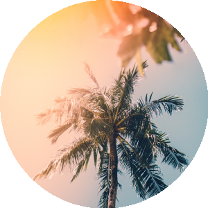 BioLink profile picture for @hardly