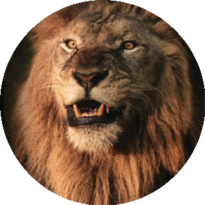 BioLink profile picture for @commerce