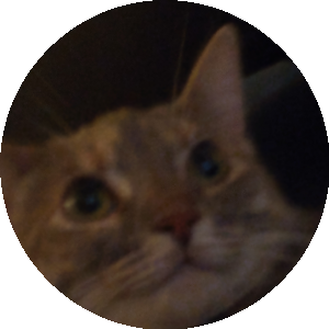 BioLink profile picture for @coupons