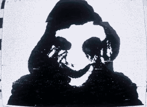 BioLink profile picture for @pusher