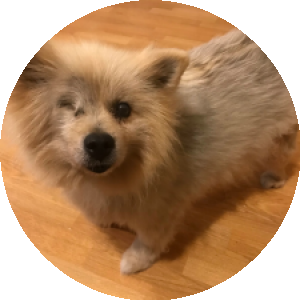 BioLink profile picture for @brett