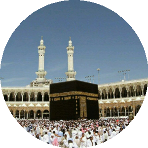 BioLink profile picture for @islamic