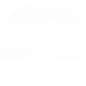 BioLink profile picture for @braver