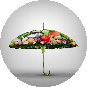 Weight loss effects from vegetable intake: a 12-month randomised controlled trial