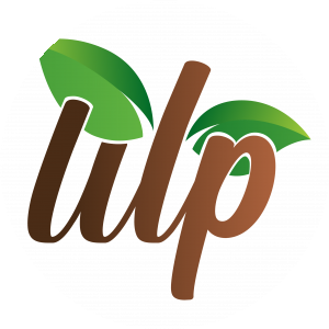 BioLink profile picture for @utp
