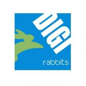 Digi Rabbit Digi Rabbits