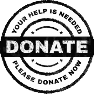 BioLink profile picture for @fundraising