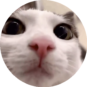 BioLink profile picture for @nevada