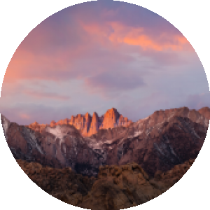 BioLink profile picture for @dublin