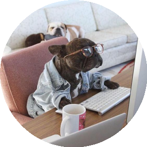 BioLink profile picture for @stockbroker