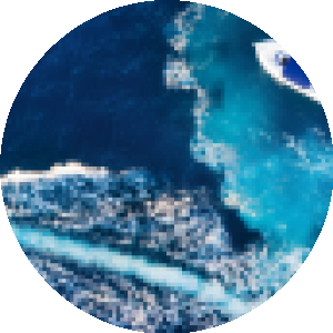 BioLink profile picture for @traveler