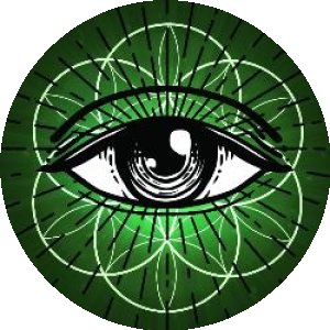 Image for DMH2ND Research Project