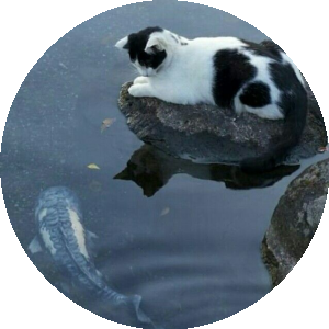 BioLink profile picture for @omnipotent