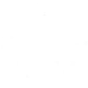 BioLink profile picture for @playful