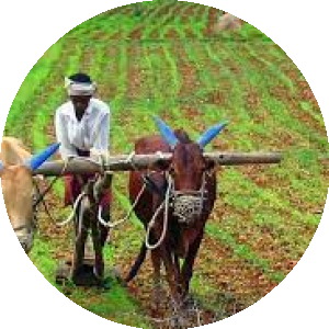 BioLink profile picture for @agriculture