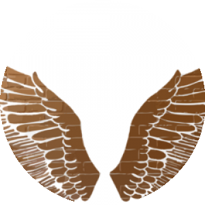 BioLink profile picture for @bridal