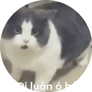 BioLink profile picture for @manhduong