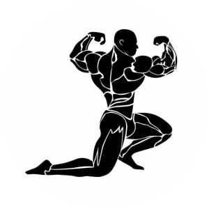 BioLink profile picture for @bodybuilding